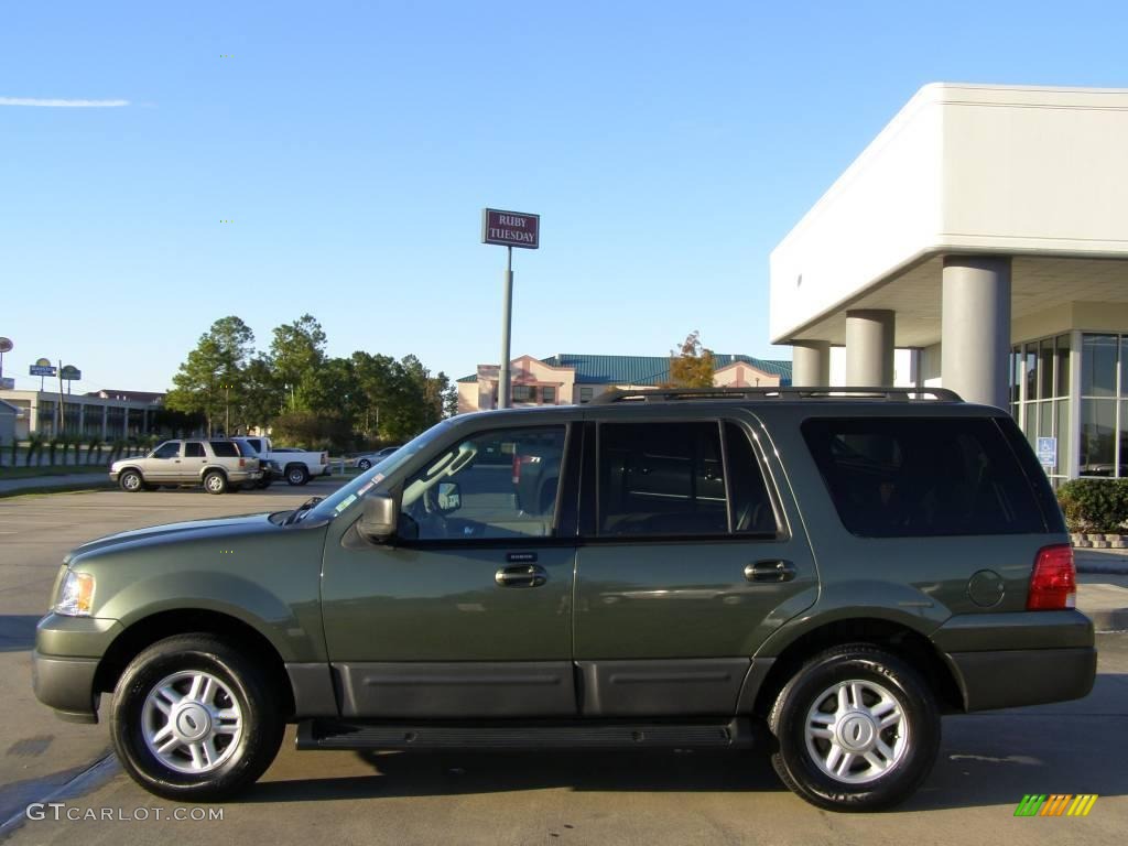 Estate Green Metallic 2006 Ford Expedition XLT Exterior Photo #20417794