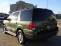 Estate Green Metallic - Expedition XLT Photo No. 3