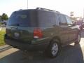Estate Green Metallic - Expedition XLT Photo No. 5