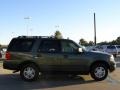 Estate Green Metallic - Expedition XLT Photo No. 6