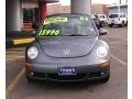 Platinum Grey - New Beetle TDI Coupe Photo No. 2