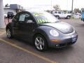 Platinum Grey - New Beetle TDI Coupe Photo No. 3