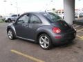 Platinum Grey - New Beetle TDI Coupe Photo No. 4