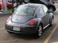 Platinum Grey - New Beetle TDI Coupe Photo No. 6