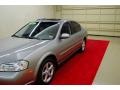 Sterling Mist Metallic - Maxima GLE Photo No. 12