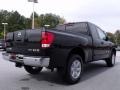 2010 Galaxy Black Nissan Titan SE King Cab  photo #5