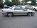 Light Pewter Metallic - Camaro Coupe Photo No. 7