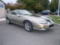 Light Pewter Metallic - Camaro Coupe Photo No. 8