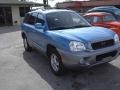 2004 Arctic Blue Hyundai Santa Fe GLS  photo #2