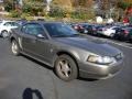 2002 Mineral Grey Metallic Ford Mustang V6 Coupe  photo #5