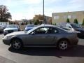 2002 Mineral Grey Metallic Ford Mustang V6 Coupe  photo #10