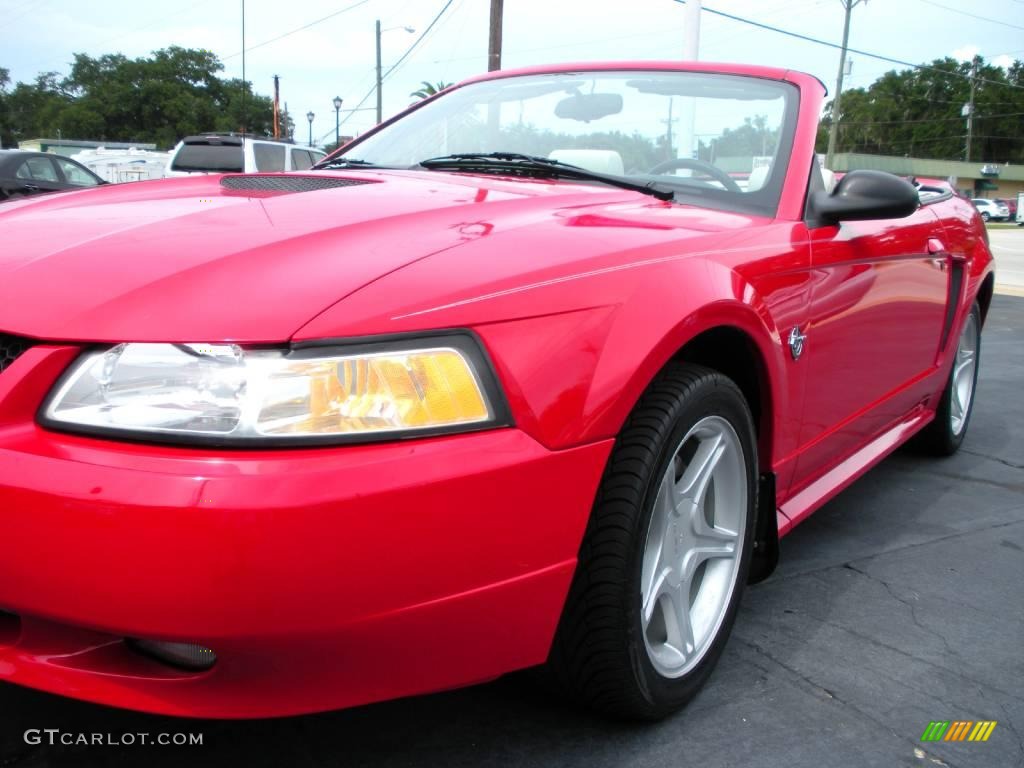 1999 Mustang GT Convertible - Rio Red / Oxford White photo #16