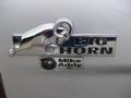 2010 Bright Silver Metallic Dodge Ram 1500 Big Horn Quad Cab  photo #10