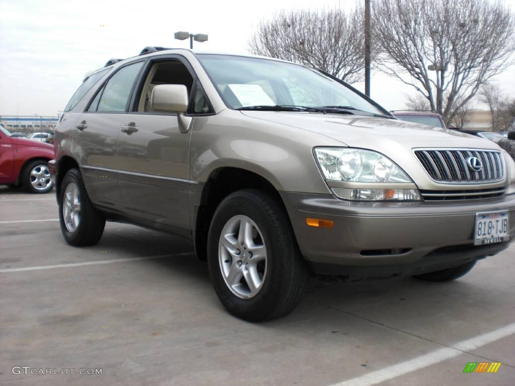 2003 RX 300 AWD - Burnished Gold Metallic / Ivory photo #2