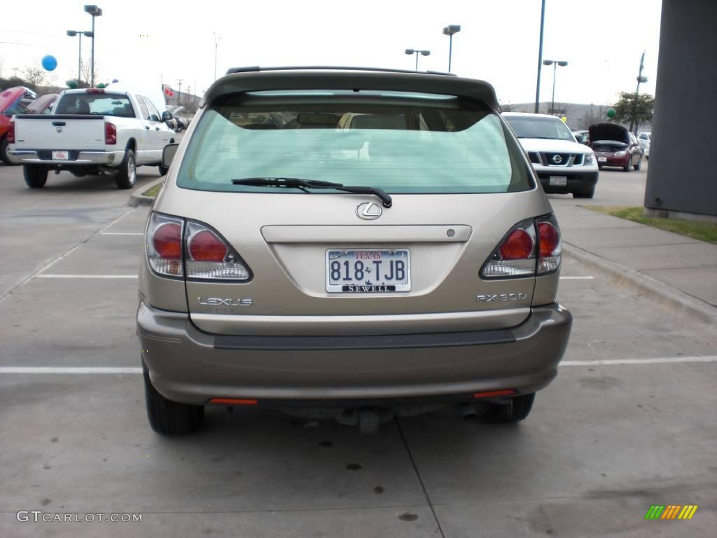 2003 RX 300 AWD - Burnished Gold Metallic / Ivory photo #3