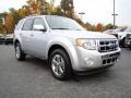 2010 Ingot Silver Metallic Ford Escape Limited V6  photo #1