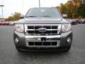 2010 Sterling Grey Metallic Ford Escape Limited V6  photo #7