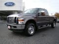 2010 Sterling Gray Metallic Ford F250 Super Duty Lariat SuperCab 4x4  photo #6