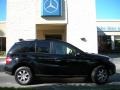 Obsidian Black Metallic - ML 350 4Matic Photo No. 5