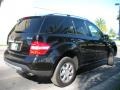 Obsidian Black Metallic - ML 350 4Matic Photo No. 6