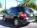 Obsidian Black Metallic - ML 350 4Matic Photo No. 8