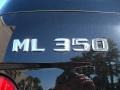 Obsidian Black Metallic - ML 350 4Matic Photo No. 9