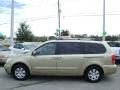 2007 Sonora Gold Hyundai Entourage GLS  photo #4