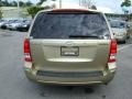 2007 Sonora Gold Hyundai Entourage GLS  photo #6