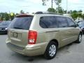 2007 Sonora Gold Hyundai Entourage GLS  photo #7