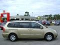 2007 Sonora Gold Hyundai Entourage GLS  photo #8