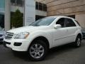Alabaster White - ML 350 4Matic Photo No. 1