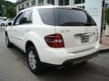 Alabaster White - ML 350 4Matic Photo No. 4
