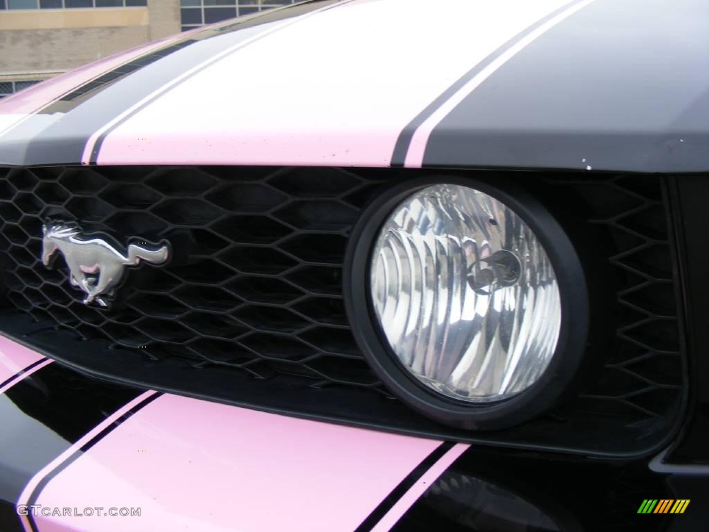 2006 Mustang GT Premium Coupe - Black / Dark Charcoal photo #11