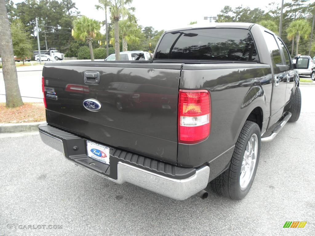 2006 F150 XLT SuperCrew - Dark Shadow Grey Metallic / Medium/Dark Flint photo #13