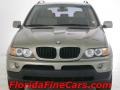 Olivin Green Metallic - X5 3.0i Photo No. 5