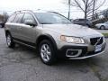 Seashell Metallic - XC70 AWD Photo No. 7