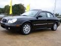 2005 Ebony Black Hyundai Sonata LX V6  photo #50