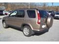 2006 Sahara Sand Metallic Honda CR-V SE 4WD  photo #2