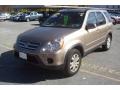 Sahara Sand Metallic - CR-V SE 4WD Photo No. 21