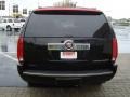 Black Raven - Escalade AWD Photo No. 6