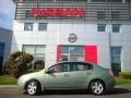 Metallic Jade Green - Sentra 2.0 Photo No. 6