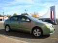 Metallic Jade Green - Sentra 2.0 Photo No. 13