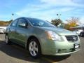 Metallic Jade Green - Sentra 2.0 Photo No. 14