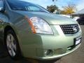 Metallic Jade Green - Sentra 2.0 Photo No. 23