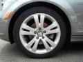 Palladium Silver Metallic - C 300 Luxury Photo No. 6