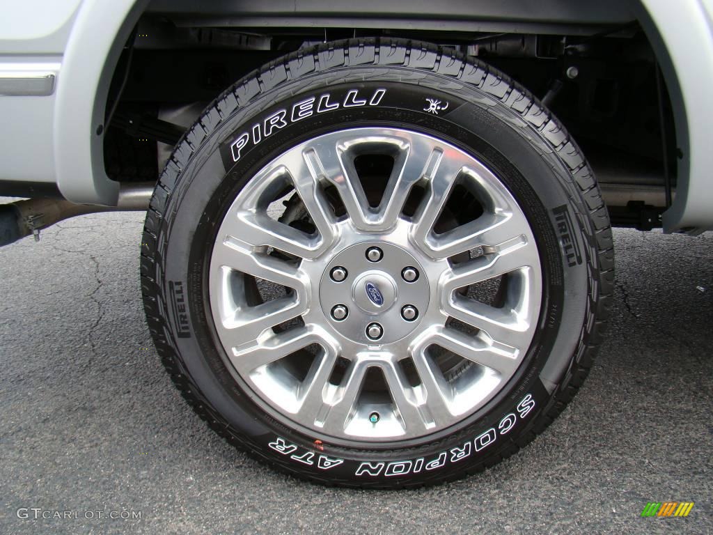 2010 F150 Platinum SuperCrew 4x4 - Ingot Silver Metallic / Sienna Brown Leather/Black photo #16
