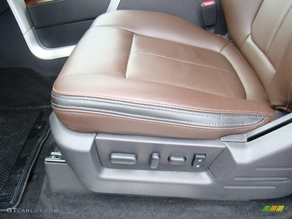 2010 F150 Platinum SuperCrew 4x4 - Ingot Silver Metallic / Sienna Brown Leather/Black photo #20