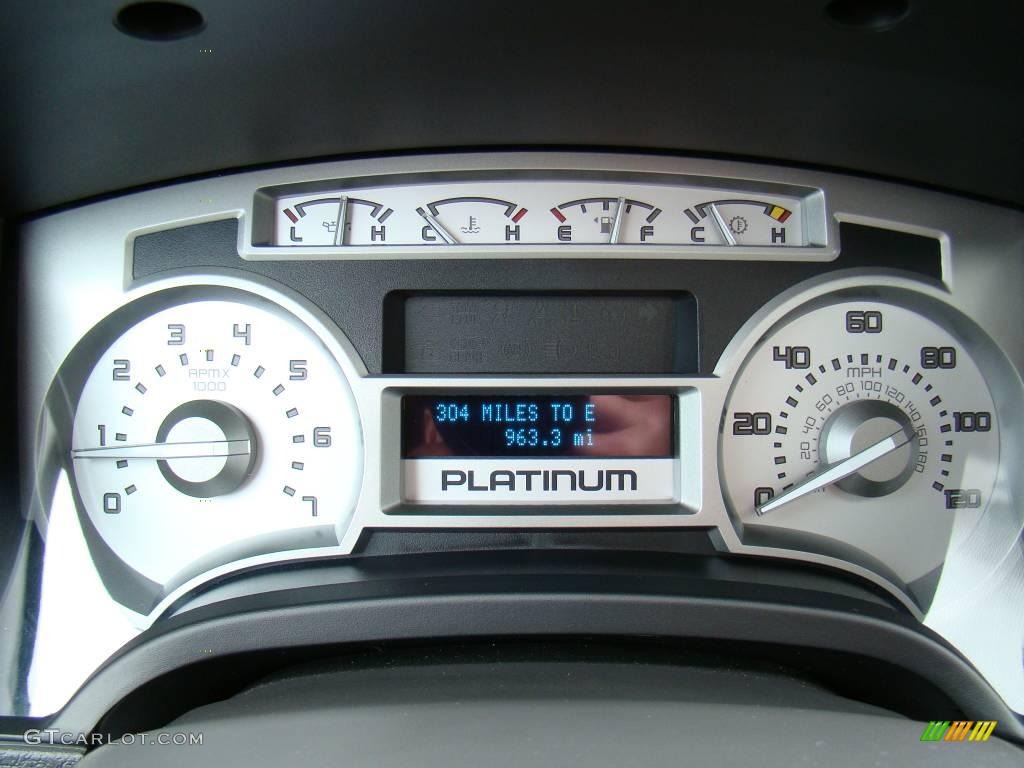 2010 F150 Platinum SuperCrew 4x4 - Ingot Silver Metallic / Sienna Brown Leather/Black photo #22