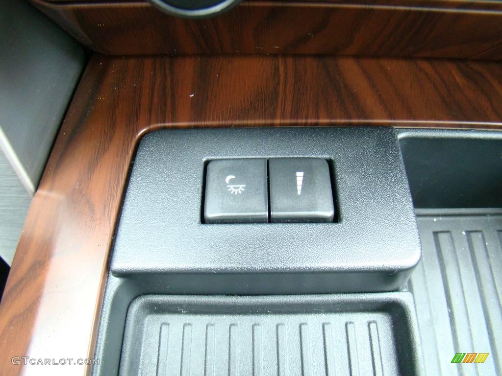 2010 F150 Platinum SuperCrew 4x4 - Ingot Silver Metallic / Sienna Brown Leather/Black photo #29