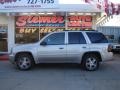 2007 Silverstone Metallic Chevrolet TrailBlazer LT 4x4  photo #14